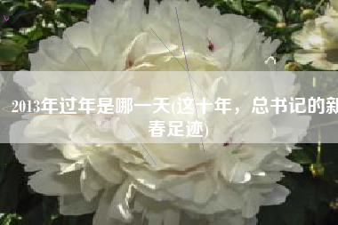 2013年过年是哪一天(这十年，总书记的新春足迹)