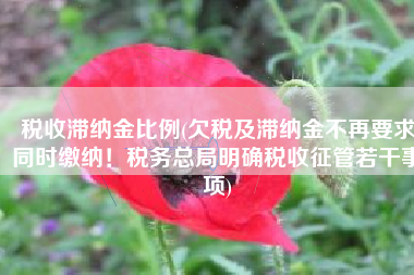 税收滞纳金比例(欠税及滞纳金不再要求同时缴纳！税务总局明确税收征管若干事项)