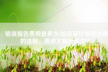 验资报告费用是多少(验资审计报告出具的流程，费用大概是多少？)