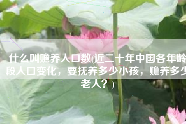 什么叫赡养人口数(近二十年中国各年龄段人口变化，要抚养多少小孩，赡养多少老人？)