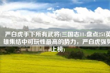 严白虎手下所有武将(三国志11-盘点251英雄集结中可玩性最高的势力，严白虎强势上榜)