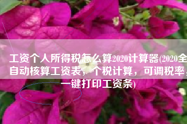 工资个人所得税怎么算2020计算器(2020全自动核算工资表，个税计算，可调税率，一键打印工资条)