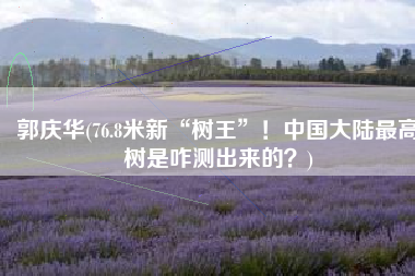 郭庆华(76.8米新“树王”！中国大陆最高树是咋测出来的？)