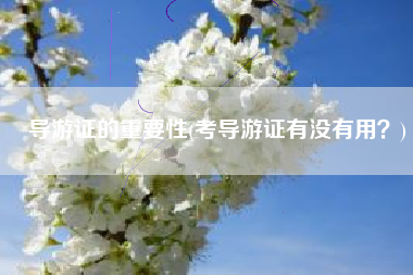 导游证的重要性(考导游证有没有用？)