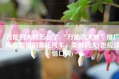 万能的大熊怎么了(“万能的大熊”推广侮辱国旗的哪吒汽车，卖假药大V也应珍惜口碑)