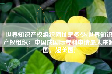 世界知识产权组织网址是多少(世界知识产权组织：中国成国际专利申请最大来源国，超美国)