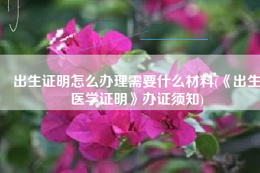 出生证明怎么办理需要什么材料(《出生医学证明》办证须知)