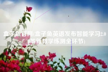 盒子鱼官网(盒子鱼英语发布智能学习2.0 AI革新教学练测全环节)