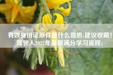 有效身份证原件是什么意思(建议收藏！驾驶人2022年最新满分学习流程)