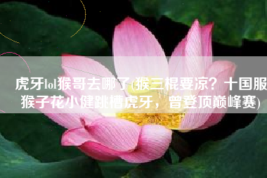 虎牙lol猴哥去哪了(猴三棍要凉？十国服猴子花小健跳槽虎牙，曾登顶巅峰赛)