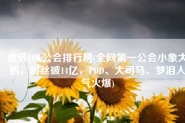 虎牙LOL公会排行榜(全网第一公会小象大鹅，粉丝破14亿，PDD、大司马、梦泪人气火爆)