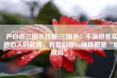 严白虎三国杀技能(三国杀：不强但非常恶心人的武将，有他们在，场场都是“膀胱局”)