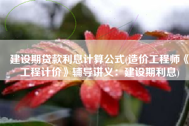 建设期贷款利息计算公式(造价工程师《工程计价》辅导讲义：建设期利息)