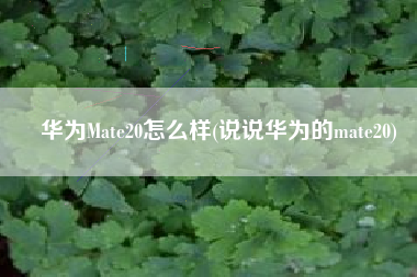 华为Mate20怎么样(说说华为的mate20)
