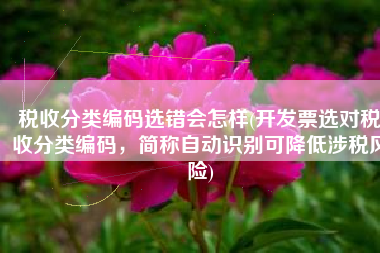 税收分类编码选错会怎样(开发票选对税收分类编码，简称自动识别可降低涉税风险)