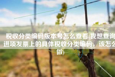 税收分类编码版本号怎么查看(我想查询进项发票上的具体税收分类编码，该怎么做)