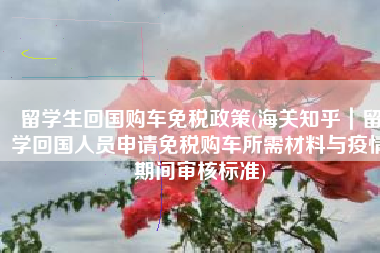 留学生回国购车免税政策(海关知乎｜留学回国人员申请免税购车所需材料与疫情期间审核标准)