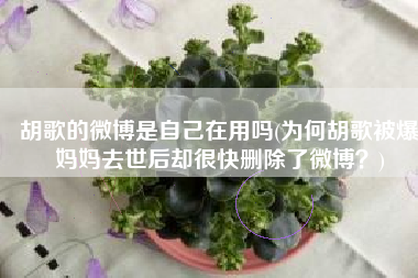 胡歌的微博是自己在用吗(为何胡歌被爆妈妈去世后却很快删除了微博？)