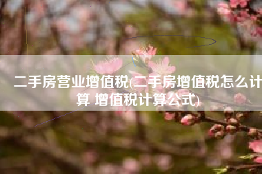 二手房营业增值税(二手房增值税怎么计算 增值税计算公式)