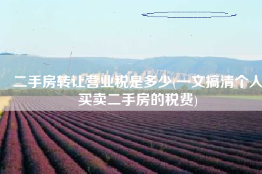 二手房转让营业税是多少(一文搞清个人买卖二手房的税费)
