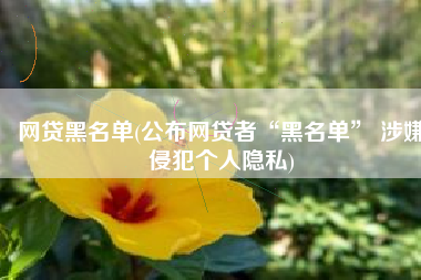 网贷黑名单(公布网贷者“黑名单” 涉嫌侵犯个人隐私)