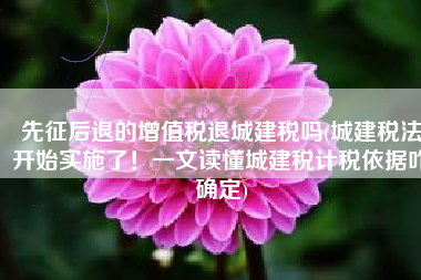 先征后退的增值税退城建税吗(城建税法开始实施了！一文读懂城建税计税依据咋确定)