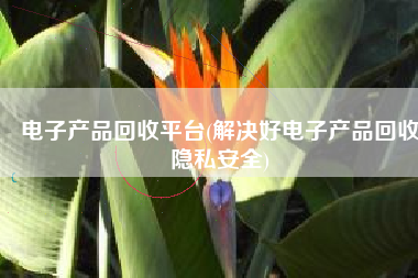 电子产品回收平台(解决好电子产品回收隐私安全)
