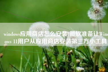 windows应用商店怎么安装(微软准备让Windows 11用户从应用商店安装第三方小工具)