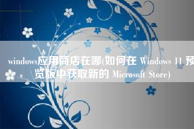 windows应用商店在哪(如何在 Windows 11 预览版中获取新的 Microsoft Store)