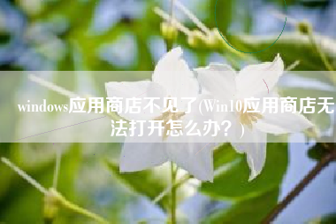 windows应用商店不见了(Win10应用商店无法打开怎么办？)