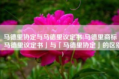 马德里协定与马德里议定书(马德里商标「马德里议定书」与「马德里协定」的区别)