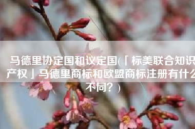 马德里协定国和议定国(「标美联合知识产权」马德里商标和欧盟商标注册有什么不同？)