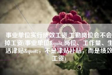 事业单位实行绩效工资,工勤岗位会不会掉工资(事业单位"岗位、工作量、生活津贴"，不是津贴补贴，而是绩效工资)