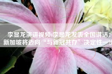 李显龙演讲视频(李显龙发表全国讲话：新加坡将迈向“与新冠共存”决定性一步)