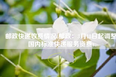 邮政快递收费情况(邮政：3月18日起调整国内标准快递服务资费)