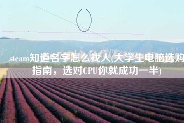 steam知道名字怎么找人(大学生电脑选购指南，选对CPU你就成功一半)