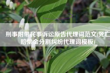 刑事附带民事诉讼原告代理词范文(死亡赔偿金分割纠纷代理词模板)