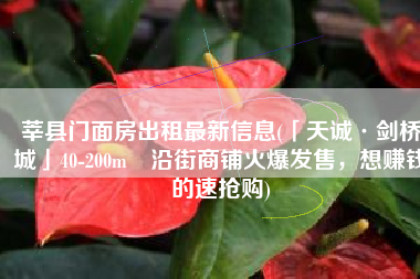 莘县门面房出租最新信息(「天诚·剑桥城」40-200m²沿街商铺火爆发售，想赚钱的速抢购)