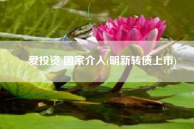 爱投资 国家介入(明新转债上市)
