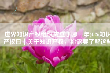 世界知识产权组织成立于哪一年(4.26知识产权日｜关于知识产权，你需要了解这些)