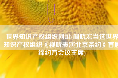 世界知识产权组织网址(阎晓宏当选世界知识产权组织《视听表演北京条约》首届缔约方会议主席)