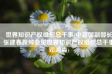 世界知识产权组织总干事(中宣部副部长张建春视频会见世界知识产权组织总干事邓鸿森)