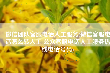 微信团队客服电话人工服务(微信客服电话怎么转人工 公众客服电话人工服务热线电话号码)