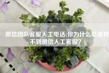 微信团队客服人工电话(你为什么总是找不到微信人工客服？)