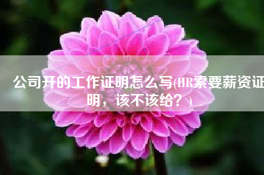 公司开的工作证明怎么写(HR索要薪资证明，该不该给？)