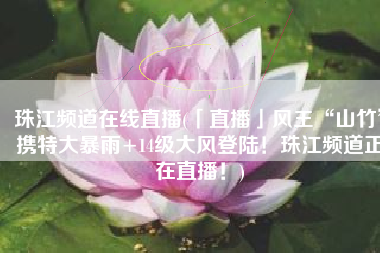 珠江频道在线直播(「直播」风王“山竹”携特大暴雨+14级大风登陆！珠江频道正在直播！)