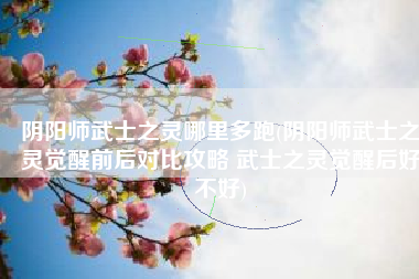 阴阳师武士之灵哪里多跑(阴阳师武士之灵觉醒前后对比攻略 武士之灵觉醒后好不好)