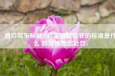 酒后驾车标准?(判定酒后驾驶的标准是什么 醉驾该怎么处罚)