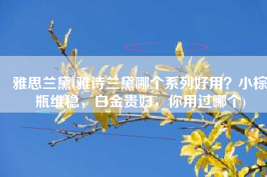 雅思兰黛(雅诗兰黛哪个系列好用？小棕瓶维稳，白金贵妇，你用过哪个)