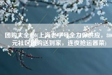 团购大全800(上海老字号全力保供应，800元社区团购送到家，连夜抢运酱菜)